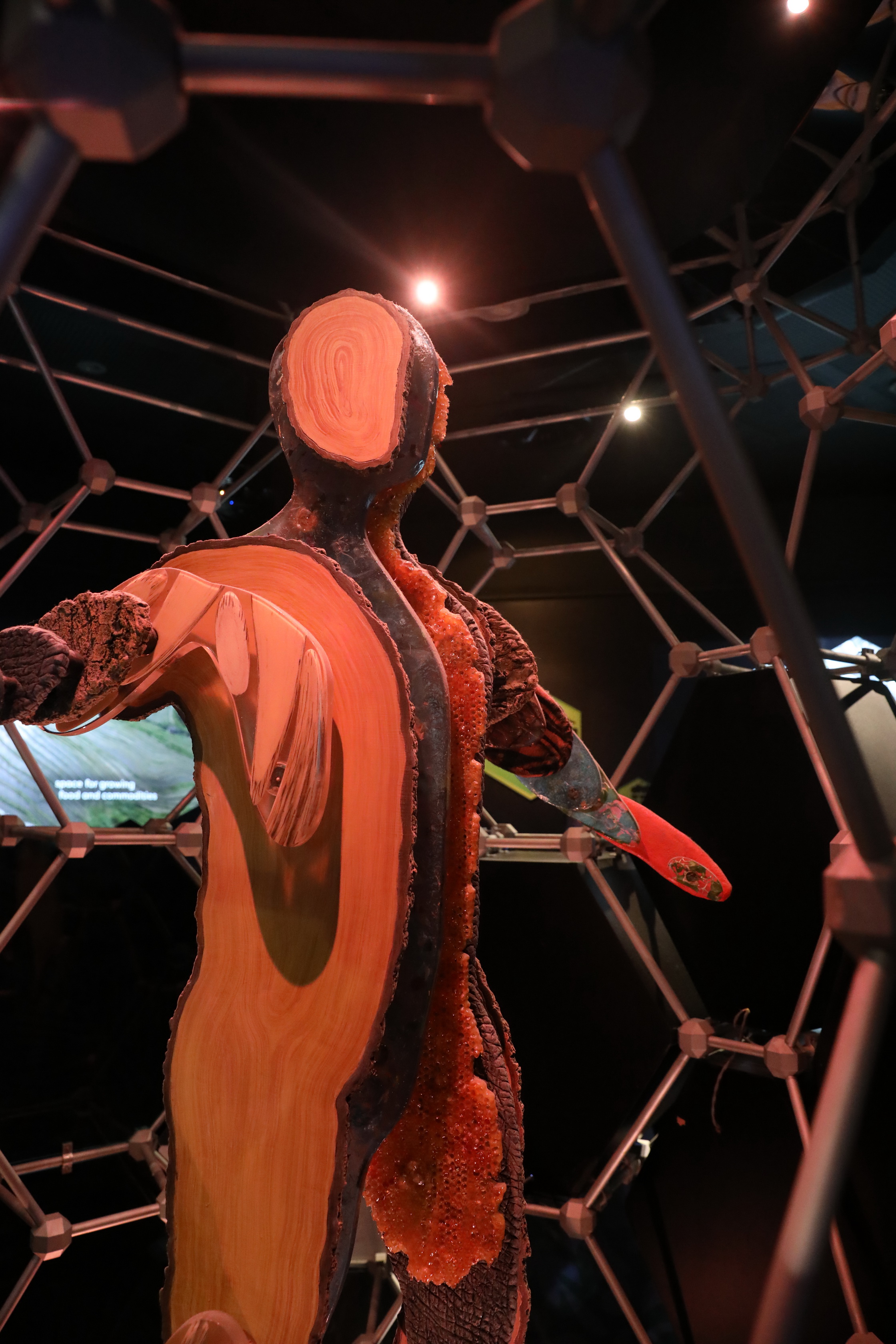 2020 02 03 17 58 45 Canon EOS 5D Mark IV 0048